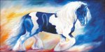 (image for) Gypsy Vanner